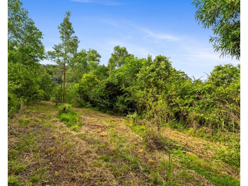 57 Mangrove Road, Narara NSW 2250