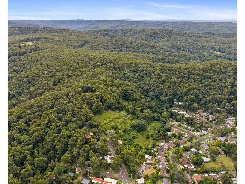 57 Mangrove Road, Narara NSW 2250