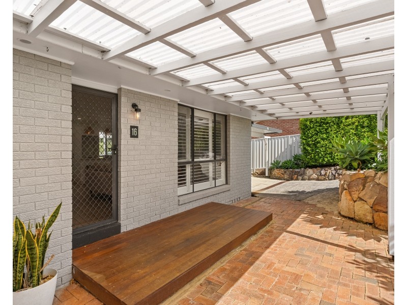 16 Avalon Road, Springfield NSW 2250