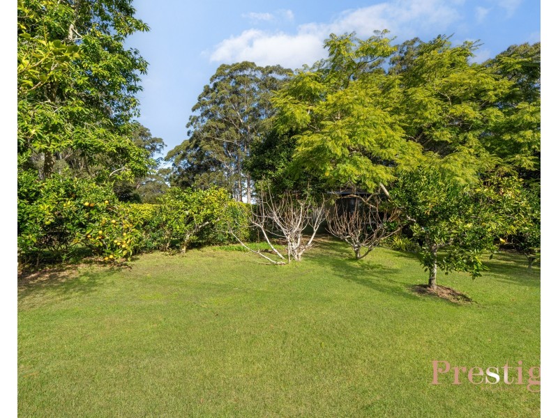 1/438 Terrigal Drive, Terrigal NSW 2260