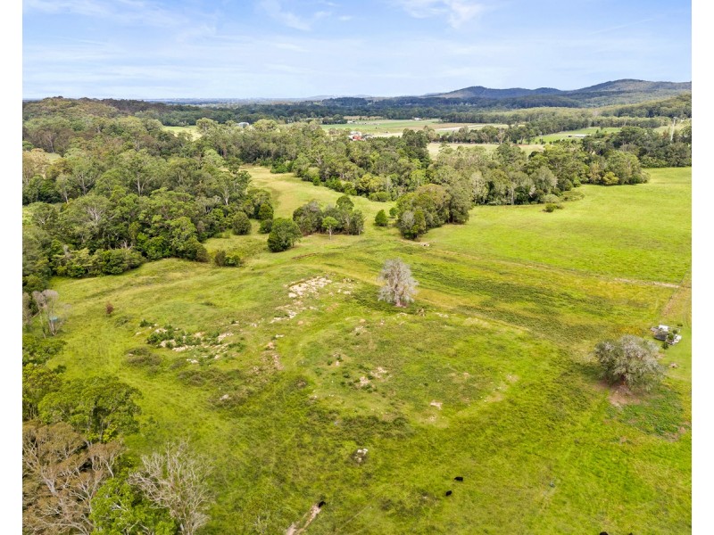 55 Davenport Lane, Jilliby NSW 2259