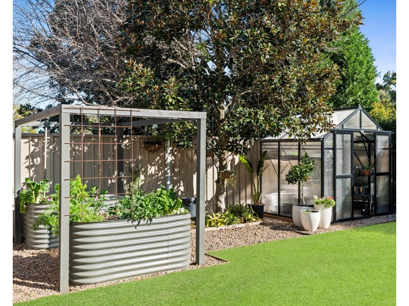 24 Tangerine Avenue, Springfield NSW 2250