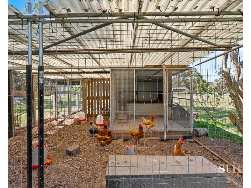 5 Warrambool Road, Wamberal NSW 2260