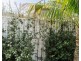 8 Phillip Street, Shelly Beach NSW 2261