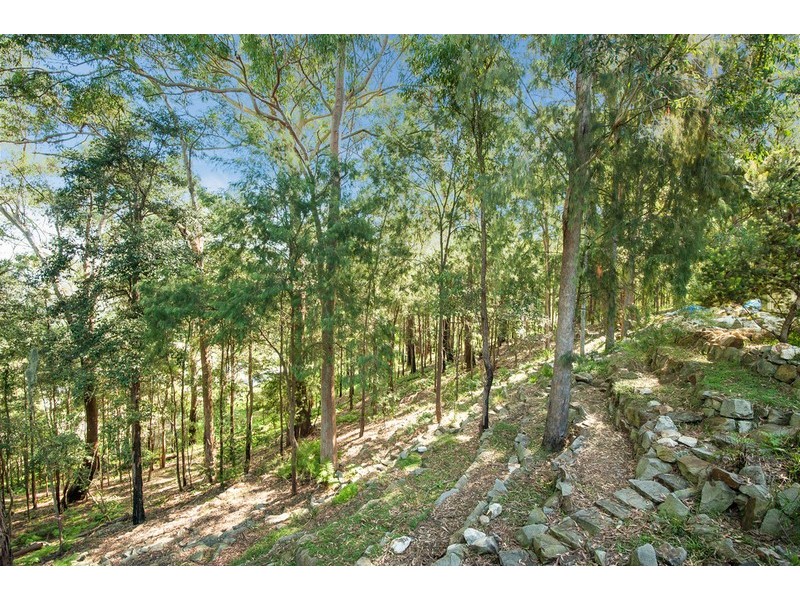 56 Dolly Avenue, Springfield NSW 2250