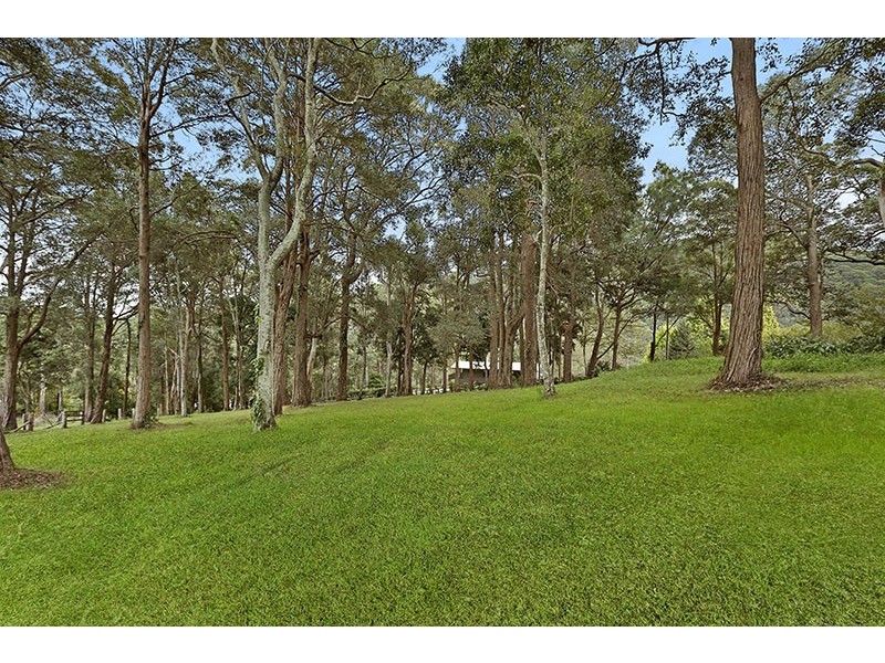 113 Picketts Valley Road, Picketts Valley NSW 2251