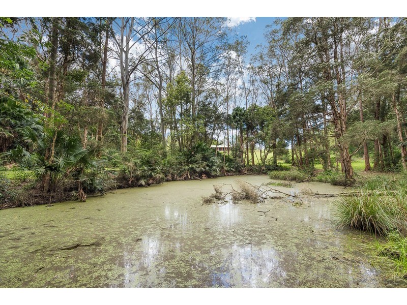 46 Hillside Drive, Glenning Valley NSW 2261