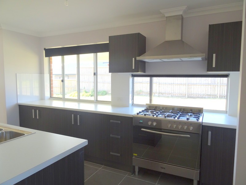 19 Threadtail Street, Chisholm NSW 2322