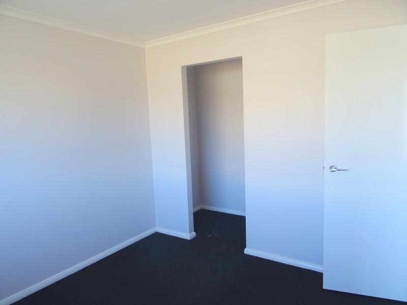 19 Threadtail Street, Chisholm NSW 2322