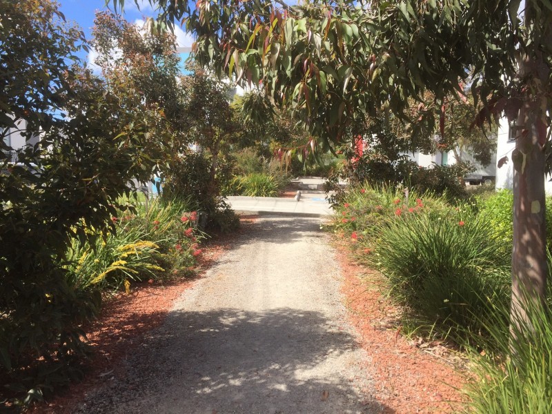 10/12-13 Trewhitt Crt, Dromana VIC 3936