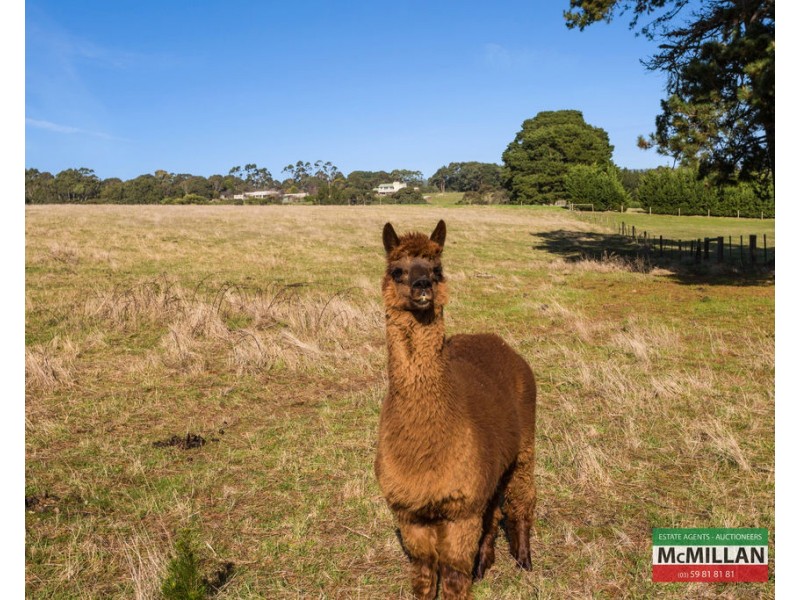 29 Seamists Drive, Arthurs Seat VIC 3936