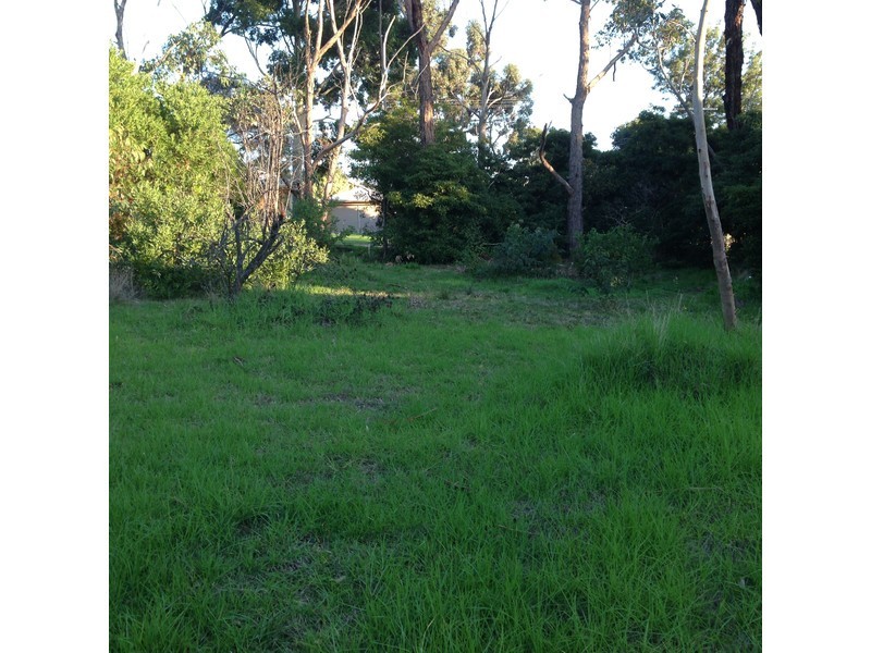 6 Banks St, Mccrae VIC 3938