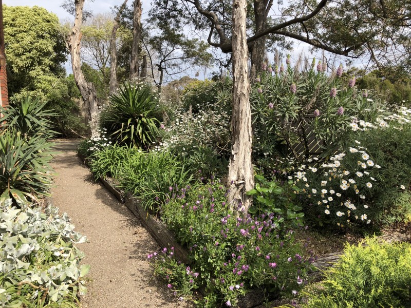 42 Dromana Parade, Safety Beach VIC 3936