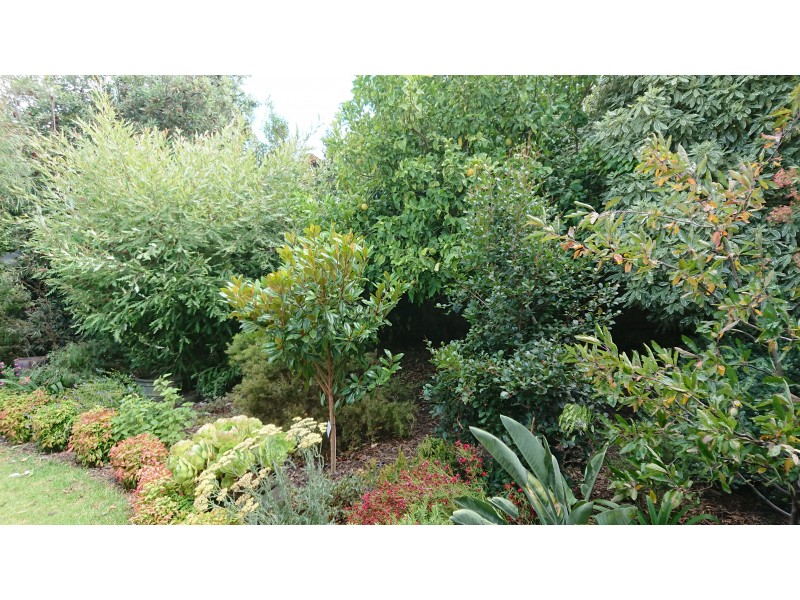 73 Pickings Road, Safety Beach VIC 3936