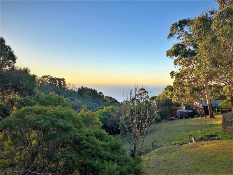 34 Cloud Street Street, Arthurs Seat VIC 3936