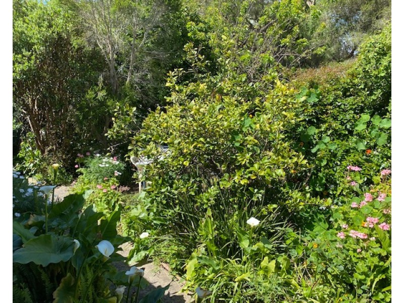 230 Bruce Road, Safety Beach VIC 3936