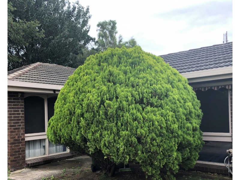 8/65 Dromana Parade, Safety Beach VIC 3936