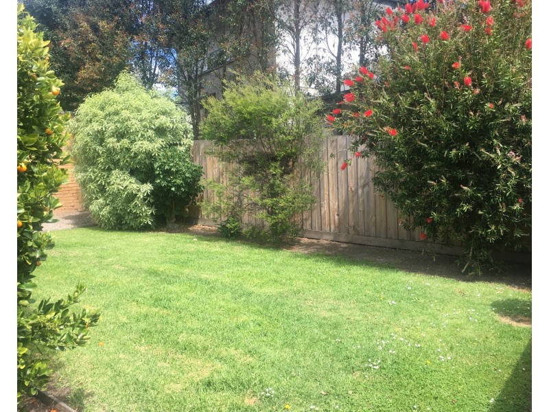 6 Margo Street, Dromana VIC 3936