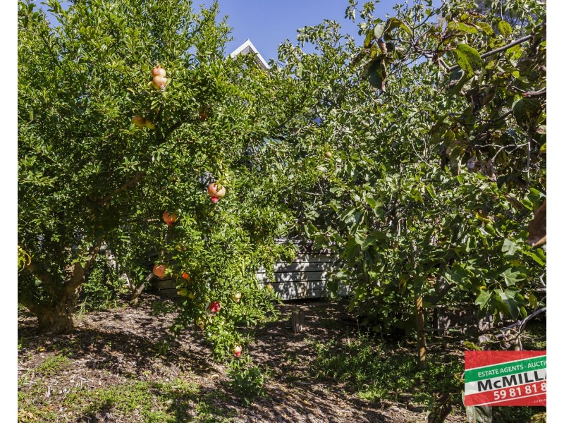 111 Sandy Road, Fingal VIC 3939