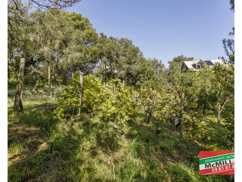 111 Sandy Road, Fingal VIC 3939