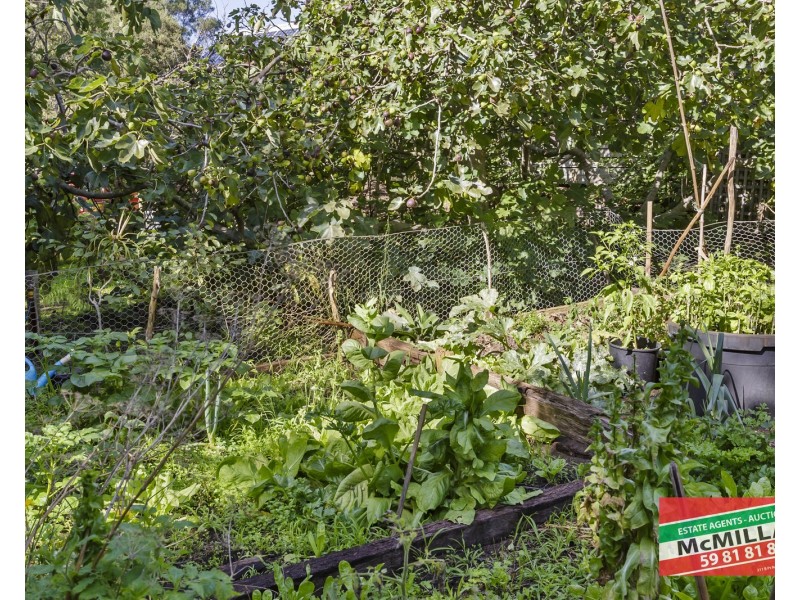 111 Sandy Road, Fingal VIC 3939