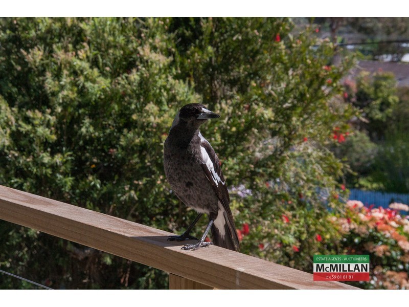 9 Murray Street, Mccrae VIC 3938