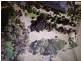 19 Somerset Dve, Dromana VIC 3936