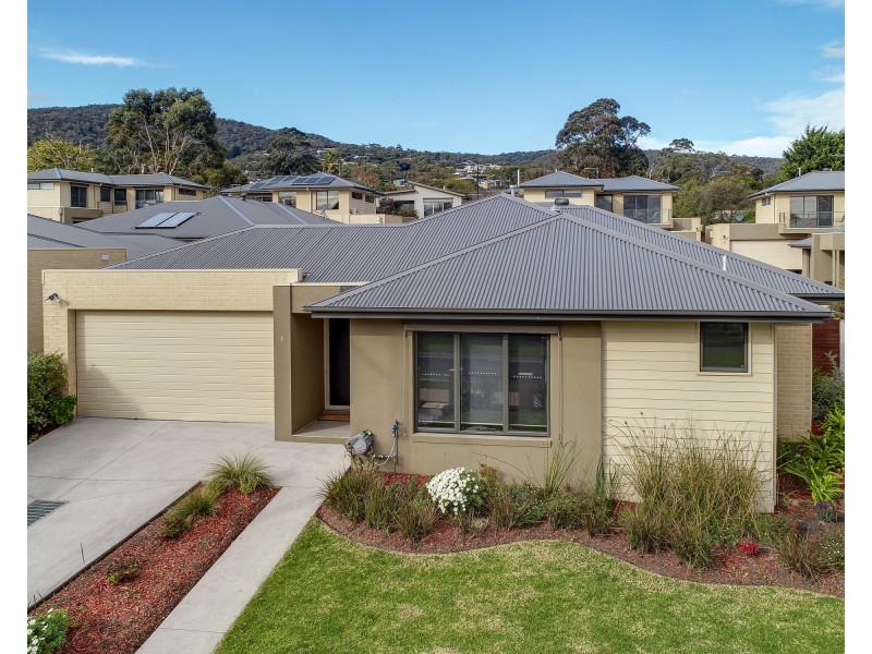 1/169 Bayview Road, Mccrae VIC 3938