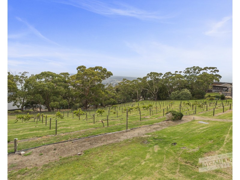 790 Arthurs Seat Road, Arthurs Seat VIC 3936