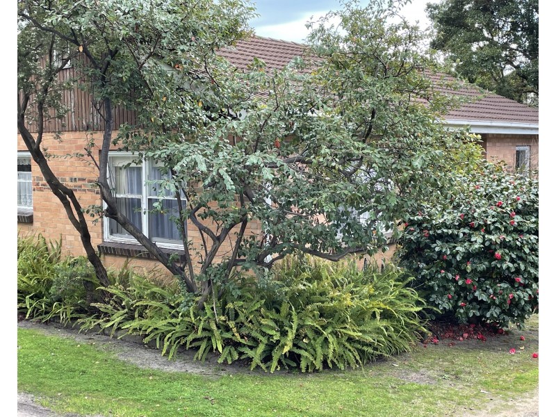 8 McCombe Street, Rosebud VIC 3939