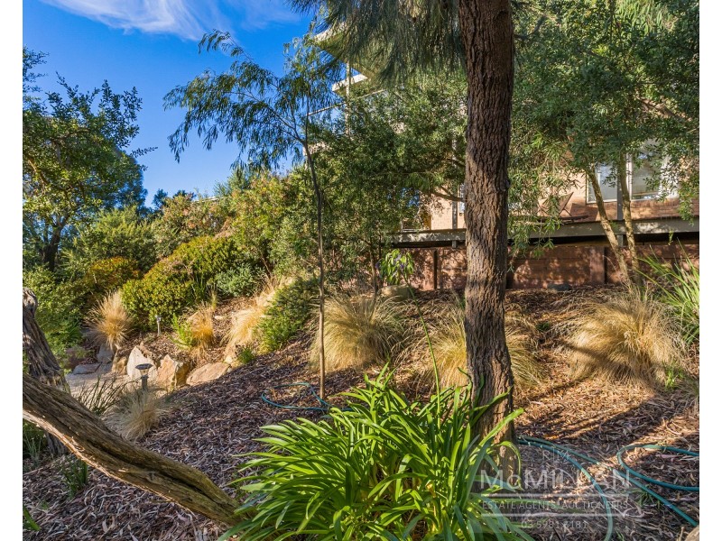 8 Drury Lane, Dromana VIC 3936