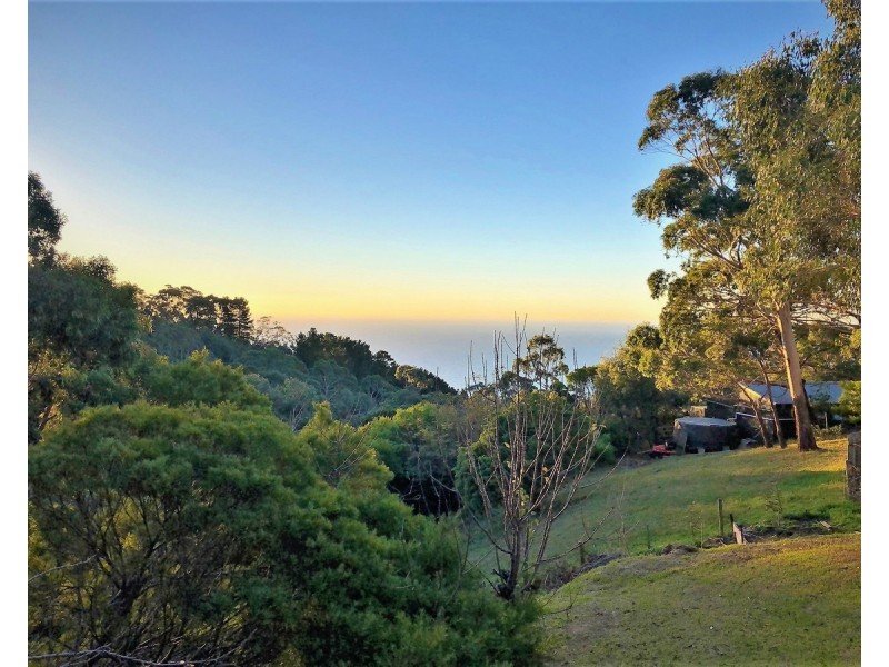 34 Cloud Street Street, Arthurs Seat VIC 3936