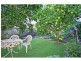 5 Jetty Road, Dromana VIC 3936