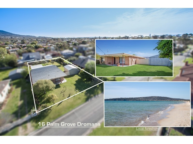 16 Palm Grove, Dromana VIC 3936