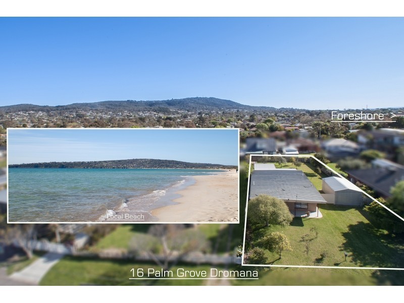 16 Palm Grove, Dromana VIC 3936