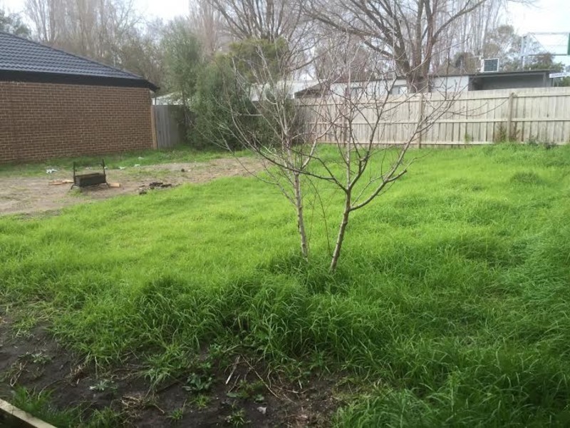 33a Corey Avenue, Dromana VIC 3936