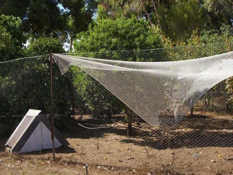 5 King Road, Nannup WA 6275