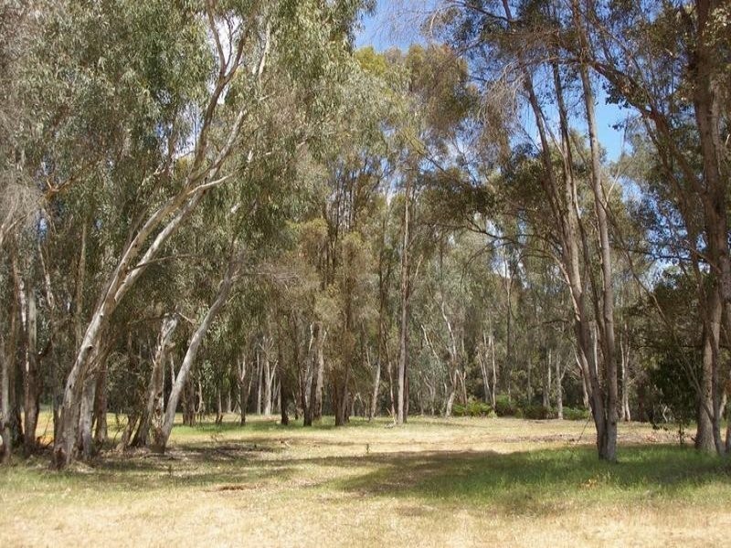 5 King Road, Nannup WA 6275