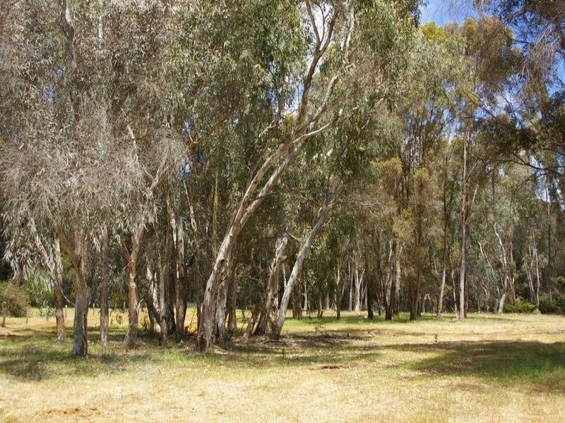 5 King Road, Nannup WA 6275