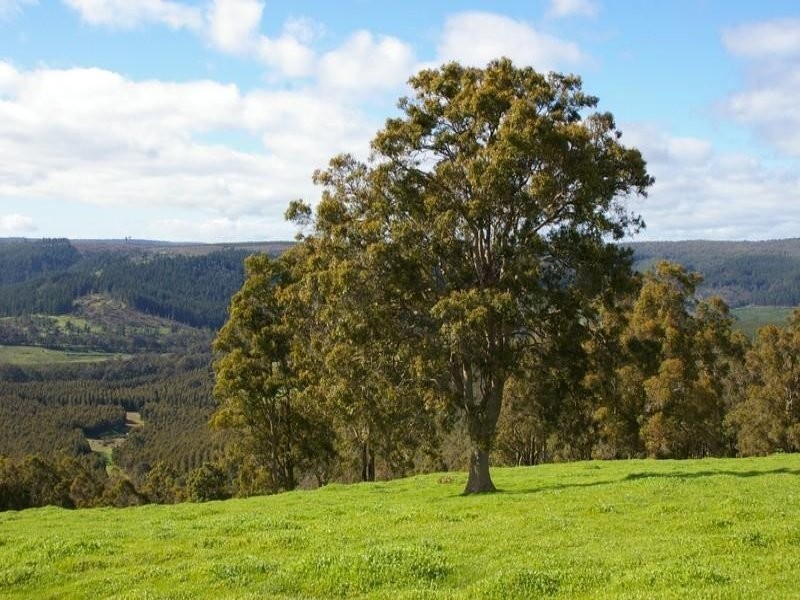 906 Perks Road, Nannup WA 6275