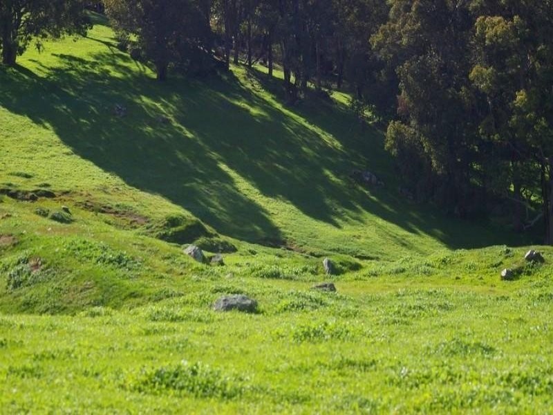 906 Perks Road, Nannup WA 6275