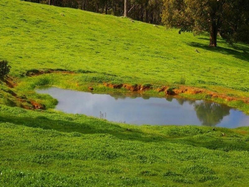 906 Perks Road, Nannup WA 6275