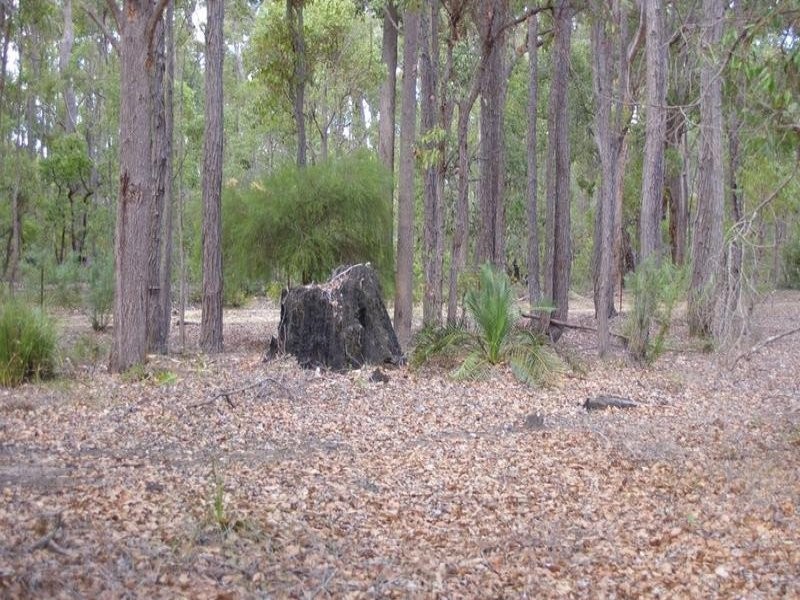 17 Cockatoo Drive, Nannup WA 6275