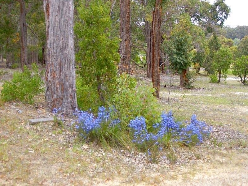 17 Cockatoo Drive, Nannup WA 6275