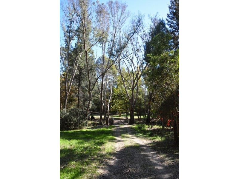 15 Dunnet Road, Nannup WA 6275