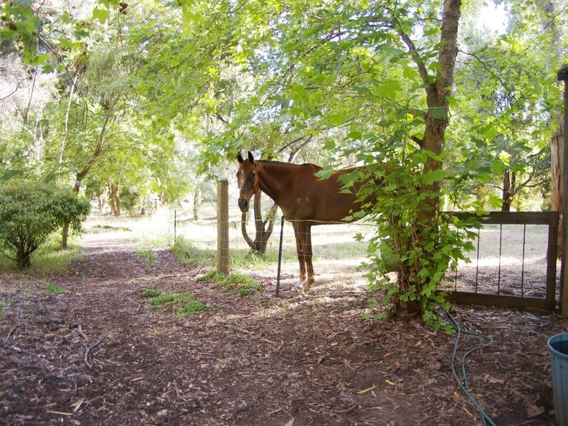 15 Dunnet Road, Nannup WA 6275