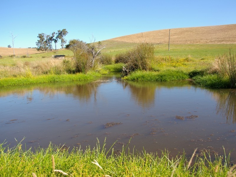 800 Graphite Road, Nannup WA 6275