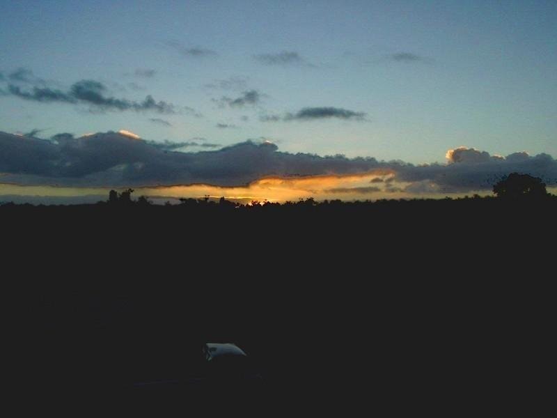 41 Hovea Place, Nannup WA 6275