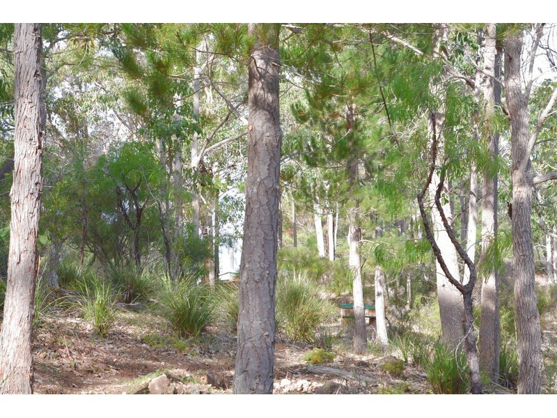 40 Hovea Place, Nannup WA 6275