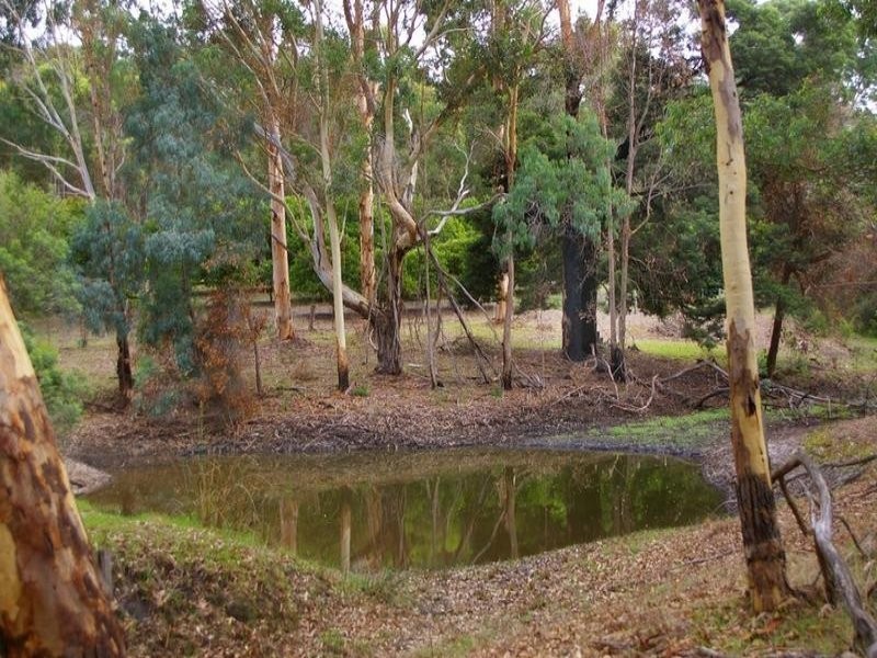 4035 Vasse Highway, Nannup WA 6275